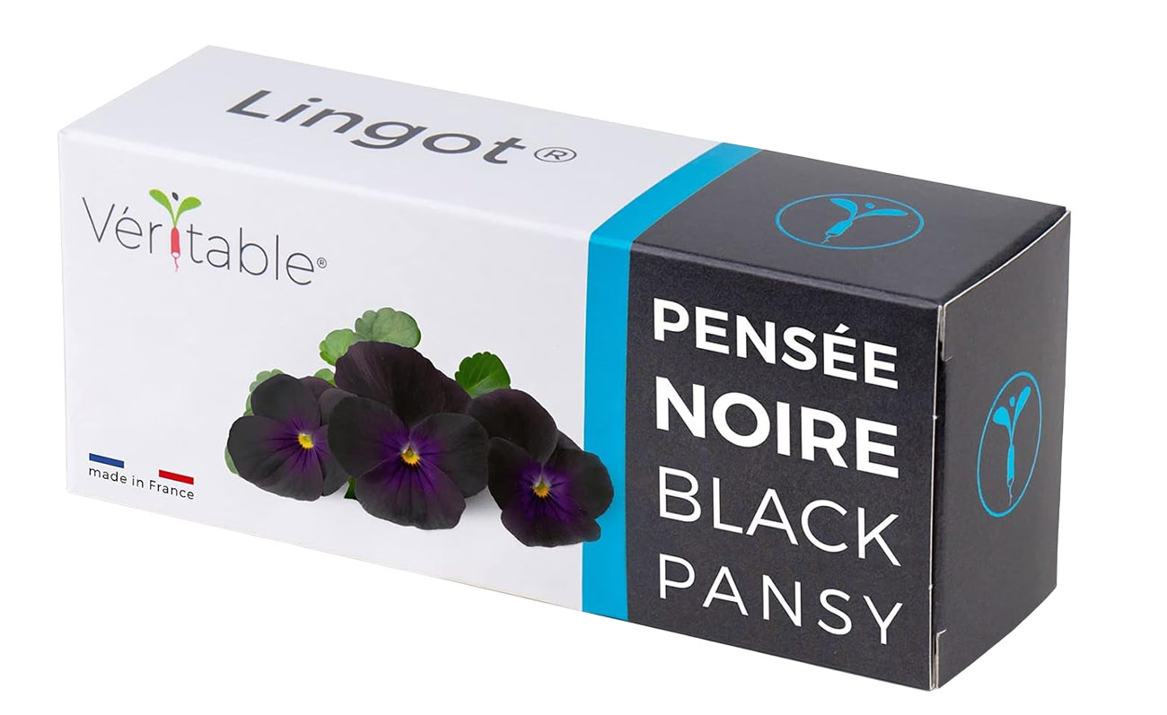 كبسولة مزرعة Veritable الداخلية / حبة واحدة / زهرة Black Pansy