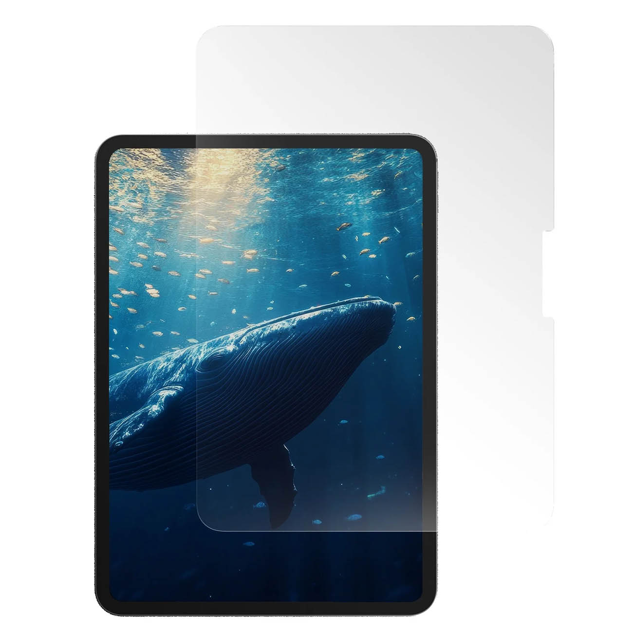 حماية MagEasy Vetro لايباد برو حجم 11 انش / مضادة للضوء الأزرق / زجاج شفاف / صلابة 9H