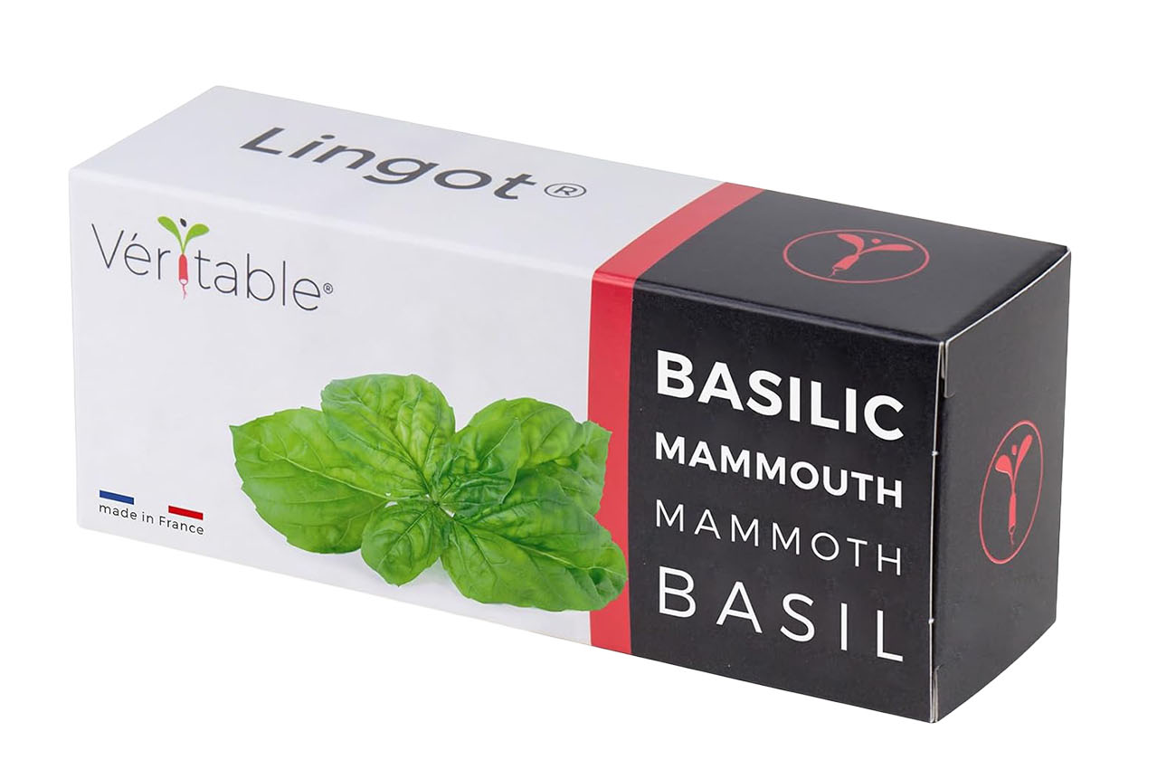 كبسولة مزرعة Veritable الداخلية / حبة واحدة / ريحان Mamouth