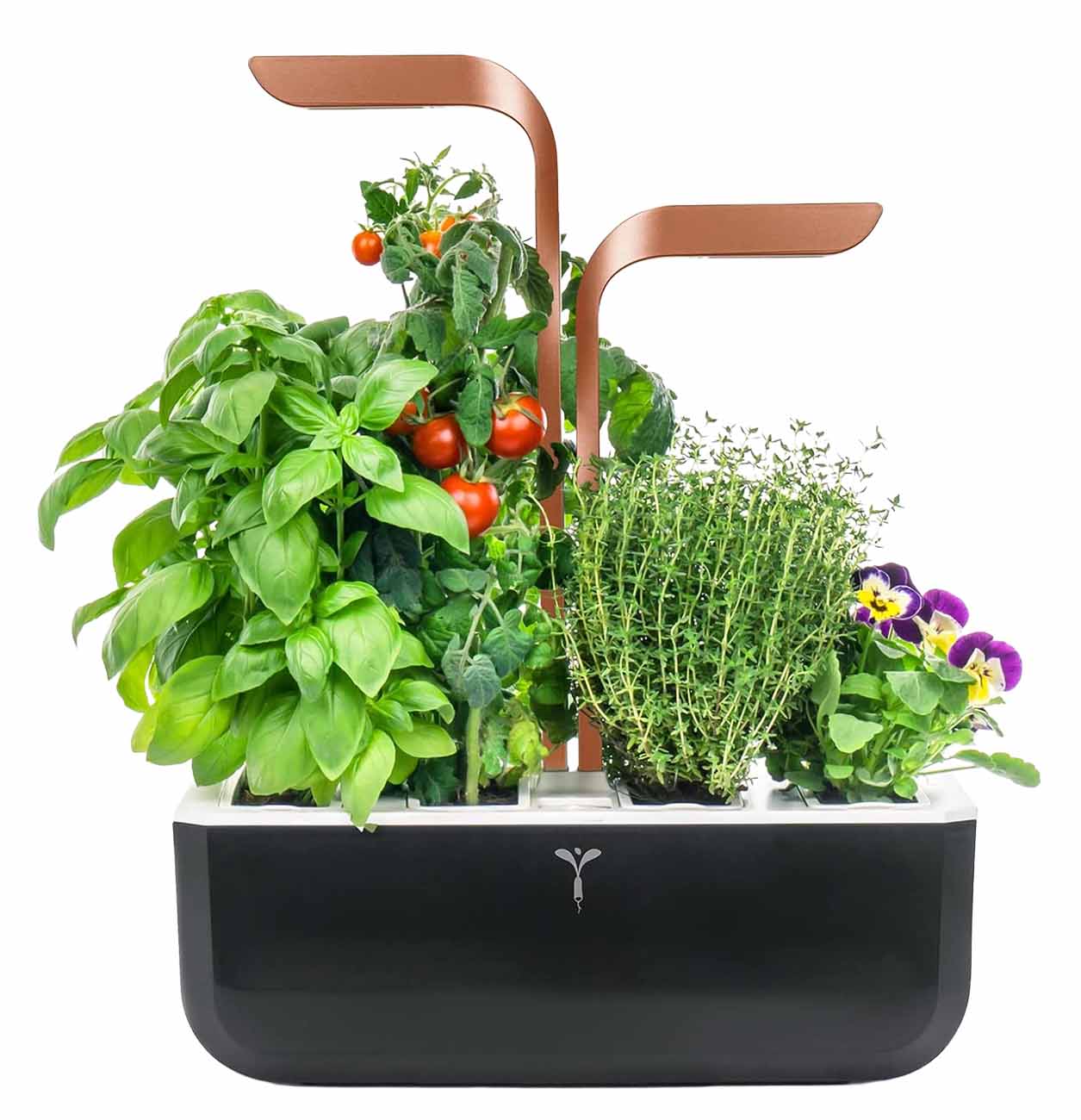 Veritable Smart Indoor Farm / 2L Water Tank Capacity / Holds 4 Plants / Copper