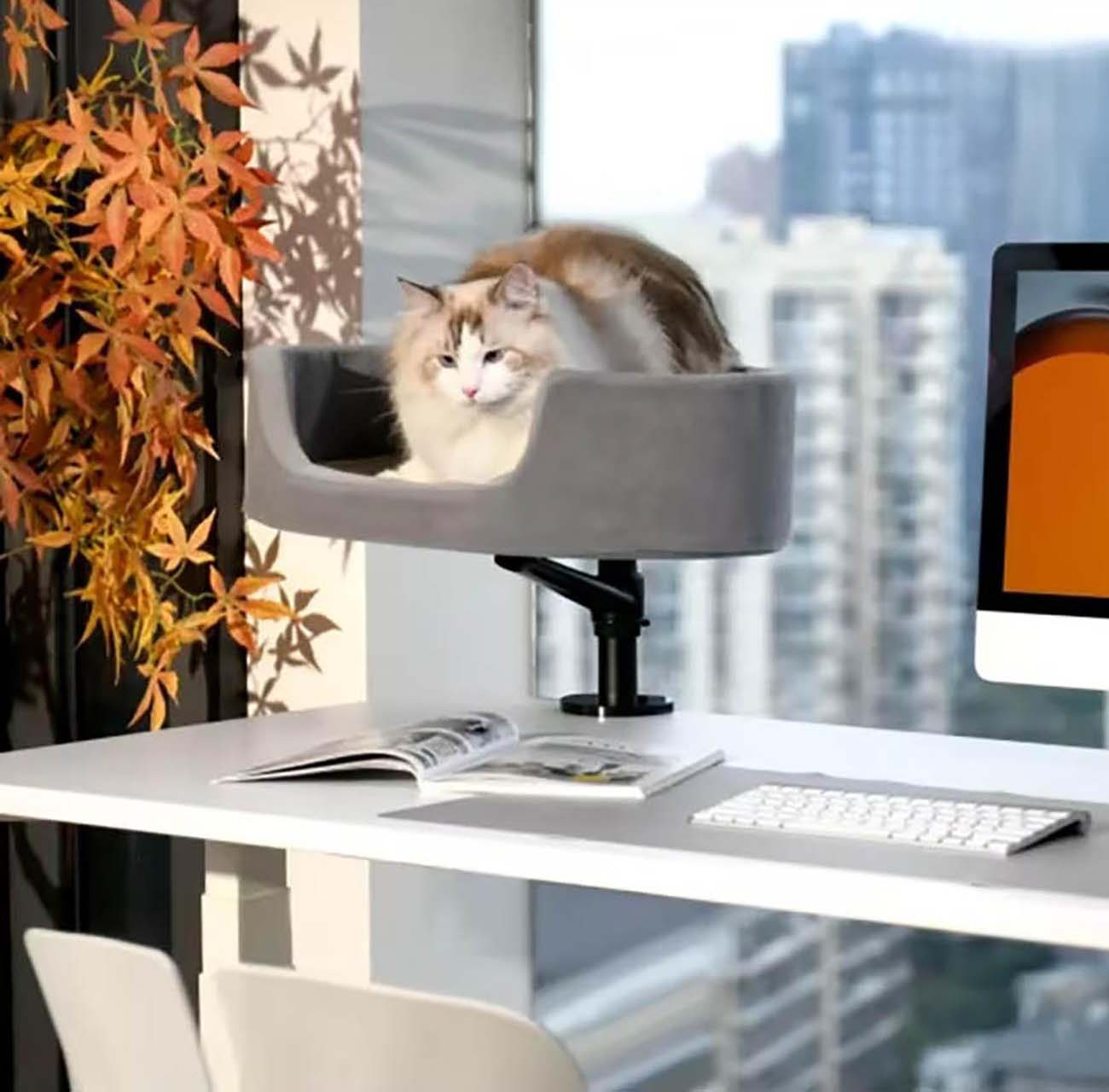 كرسي القطط / مع ستاند يثبت بالطاولة / قابل للدوران / طول متغير