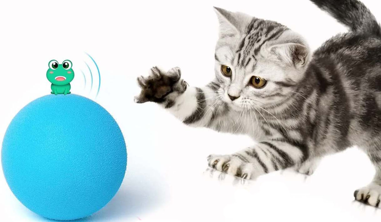 لعبة كرة Chirpy للحيوانات الاليفة / تصدر صوت Frog Chirping / ممتعة / ازرق
