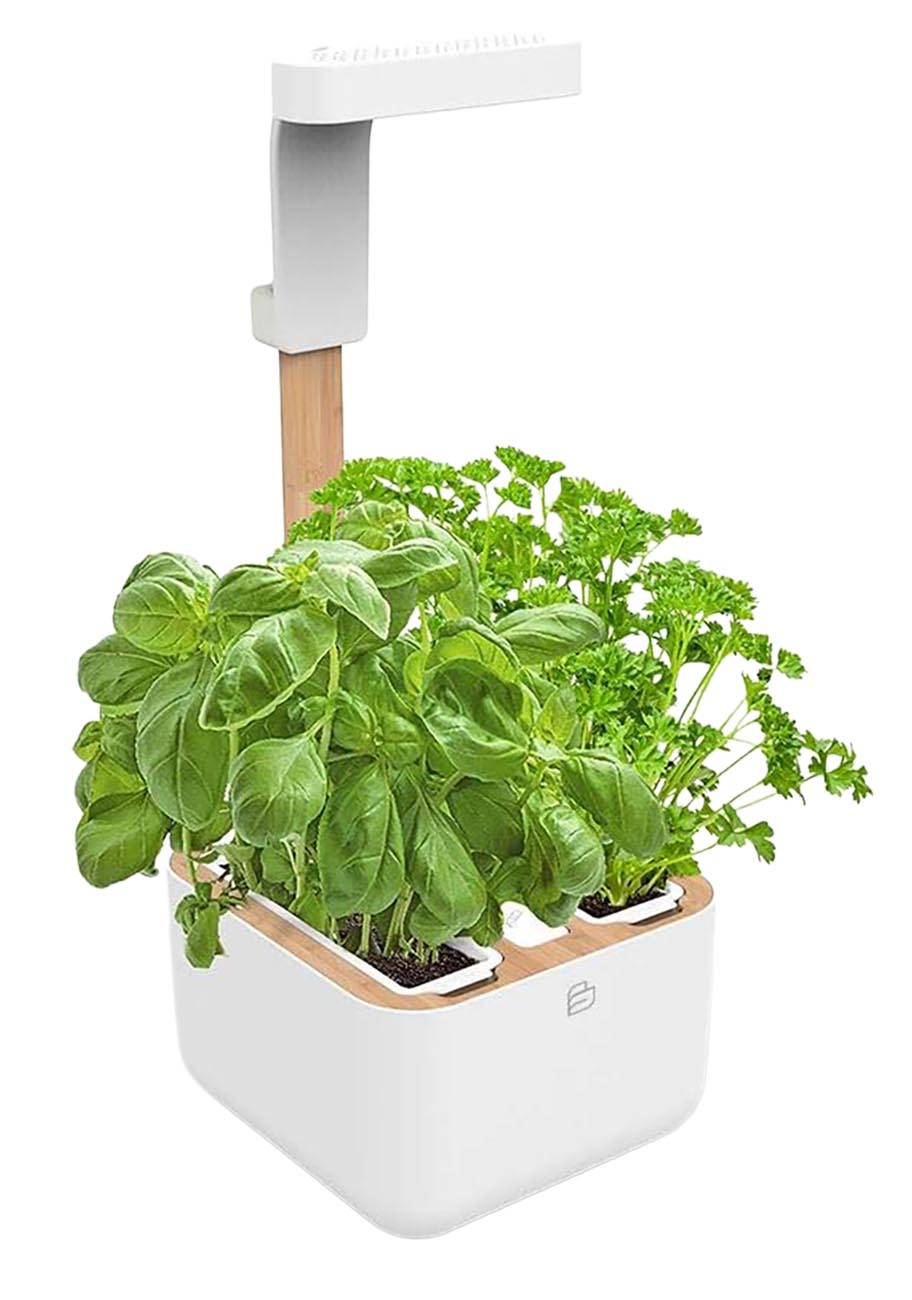 Botaneo Eylo Indoor Farm / 1L Water Tank Capacity / Fits 2 Plants