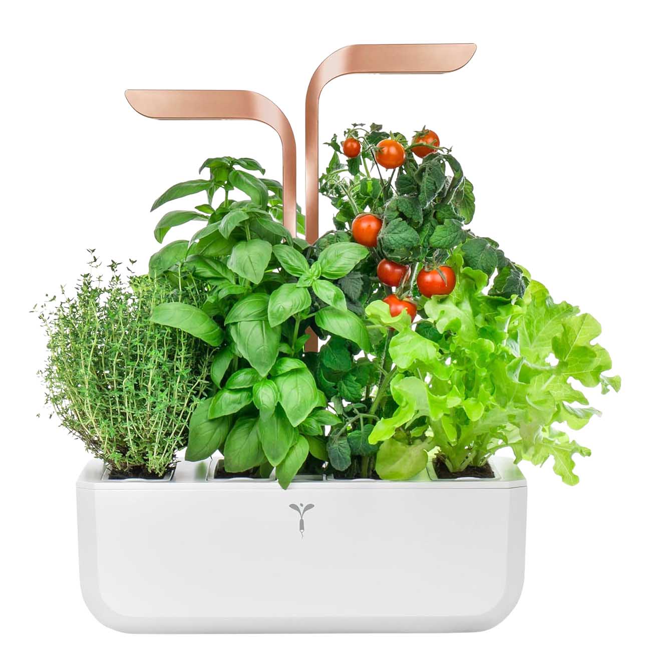 Veritable Smart Indoor Farm / 2L Water Tank Capacity / Holds 4 Plants / White Copper